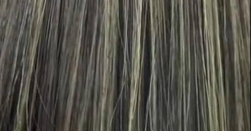 Haircut – Women Dubai Shafqa.com Online Shopping, Best Prices in Dubai UAE 3