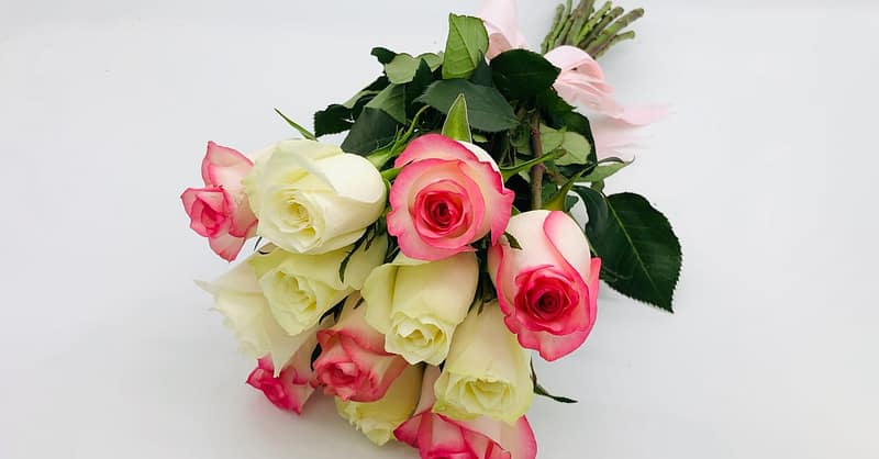 Handcrafted Bouquets Of Roses For Any Occasion In Dubai Dubai Shafqa.com Online Shopping, Best Prices in Dubai UAE 4
