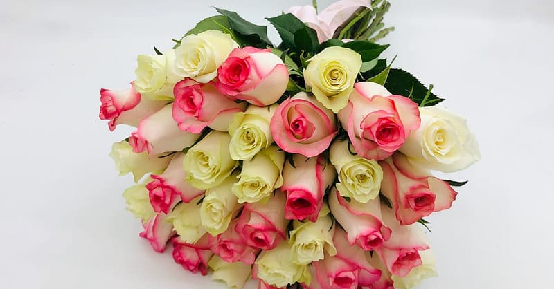 Handcrafted Bouquets Of Roses For Any Occasion In Dubai Dubai Shafqa.com Online Shopping, Best Prices in Dubai UAE 5