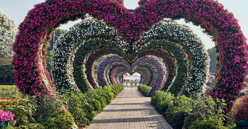 Img, Miracle Garden, Global Village, Ski Snow Classic, Or Plus Ticket Dubai Shafqa.com Online Shopping, Best Prices in Dubai UAE 5