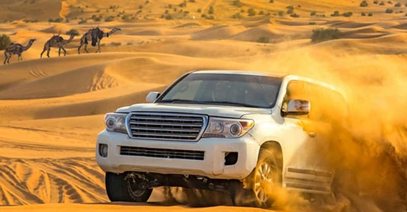 Img Tickets, Vip Desert Safari With Transport Options At Rs Tourism Dubai Shafqa.com Online Shopping, Best Prices in Dubai UAE 16