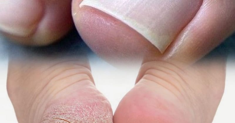 Mani-Pedi Session For A Fresh Look! Dubai Shafqa.com Online Shopping, Best Prices in Dubai UAE 4