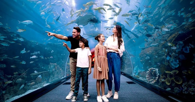 Marine Magic Awaits: Dubai Aquarium & Penguin Cove For 1, 2, Or 4! Dubai Shafqa.com Online Shopping, Best Prices in Dubai UAE 11