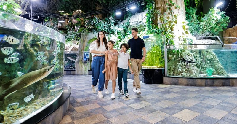 Marine Magic Awaits: Dubai Aquarium & Penguin Cove For 1, 2, Or 4! Dubai Shafqa.com Online Shopping, Best Prices in Dubai UAE 2