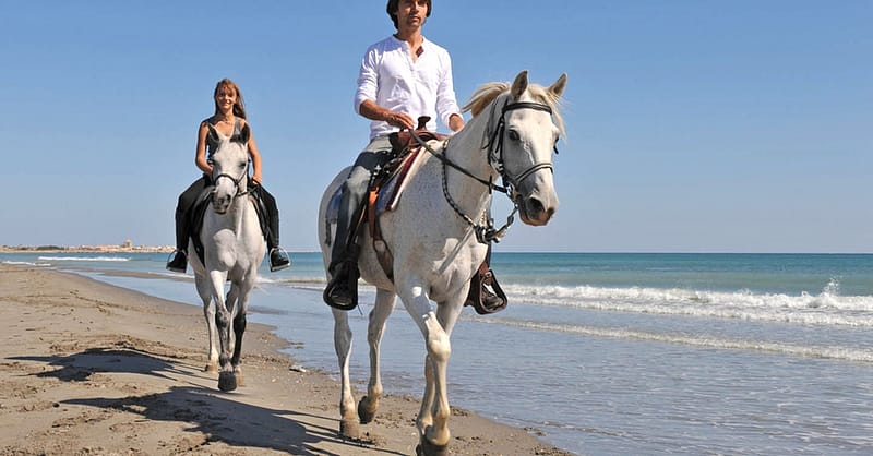 One Hour Beach Horse Riding Experiences At Al Sultan Equestrian Club Abu Dhabi Shafqa.com Online Shopping, Best Prices in Dubai UAE 2