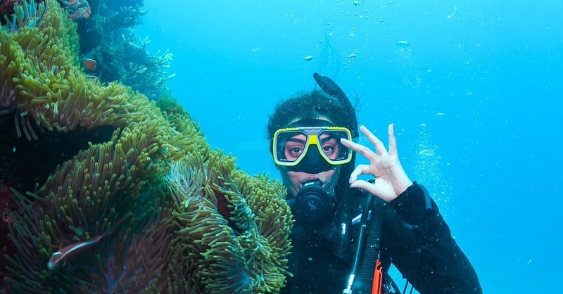 Open Water Scuba Diver Course At Goblin Diving Center Dubai Shafqa.com Online Shopping, Best Prices in Dubai UAE 2