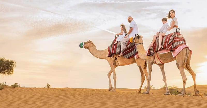 Overnight Central/Home Or Hotel Pick Up Desert Safari Dinner And More Abu Dhabi Shafqa.com Online Shopping, Best Prices in Dubai UAE 4