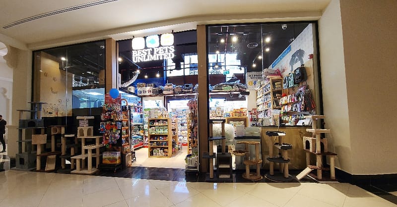 Pamper Your Furry Friends With Basic Or Full Grooming For Dogs & Cats Dubai Shafqa.com Online Shopping, Best Prices in Dubai UAE 6