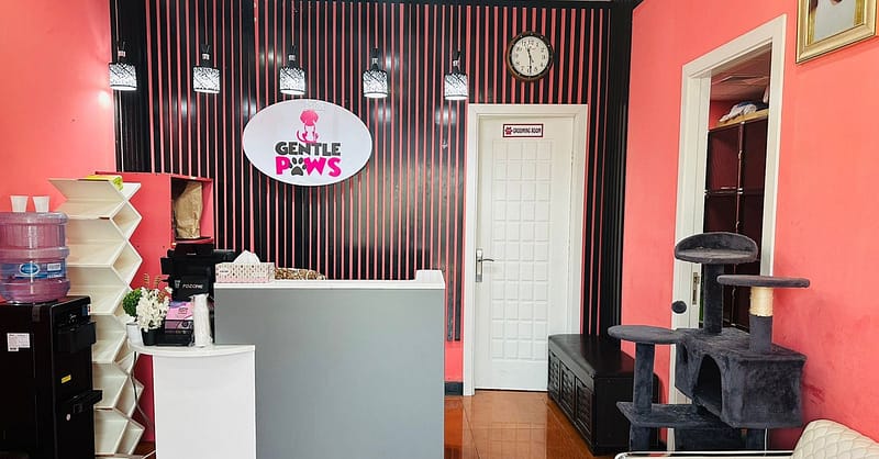 Pamper Your Pets: Basic And Full Grooming Dubai Shafqa.com Online Shopping, Best Prices in Dubai UAE 3