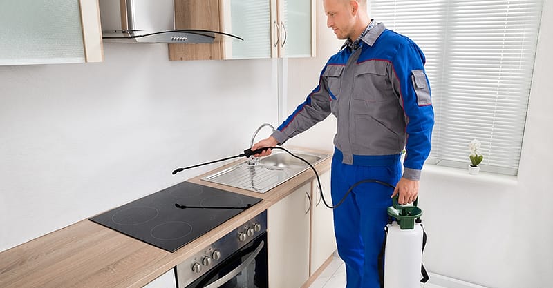 Pest Control Service Abu Dhabi Shafqa.com Online Shopping, Best Prices in Dubai UAE 2