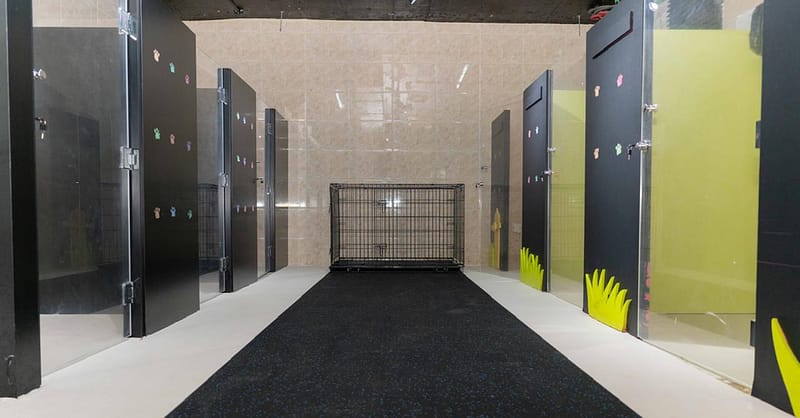 Pet Day Care At Six Pawz Pet Grooming Dubai Shafqa.com Online Shopping, Best Prices in Dubai UAE 5