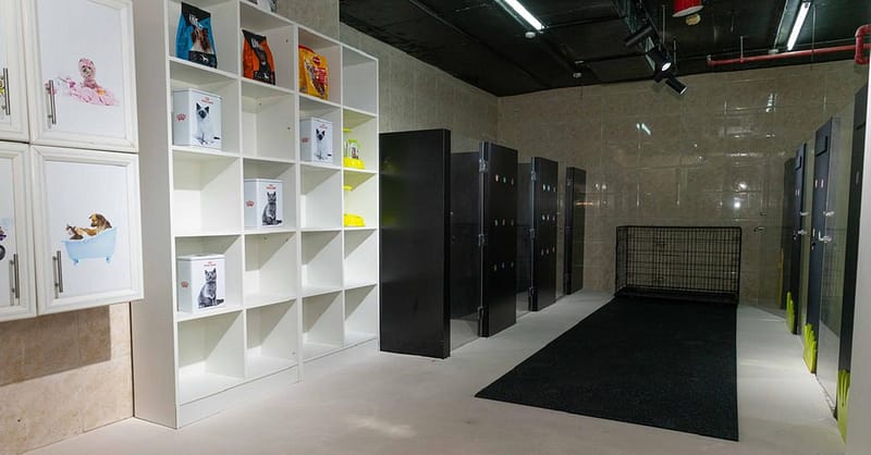 Pet Day Care At Six Pawz Pet Grooming Dubai Shafqa.com Online Shopping, Best Prices in Dubai UAE 6