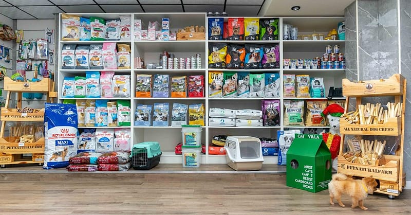 Pet Day Care At Six Pawz Pet Grooming Dubai Shafqa.com Online Shopping, Best Prices in Dubai UAE 9