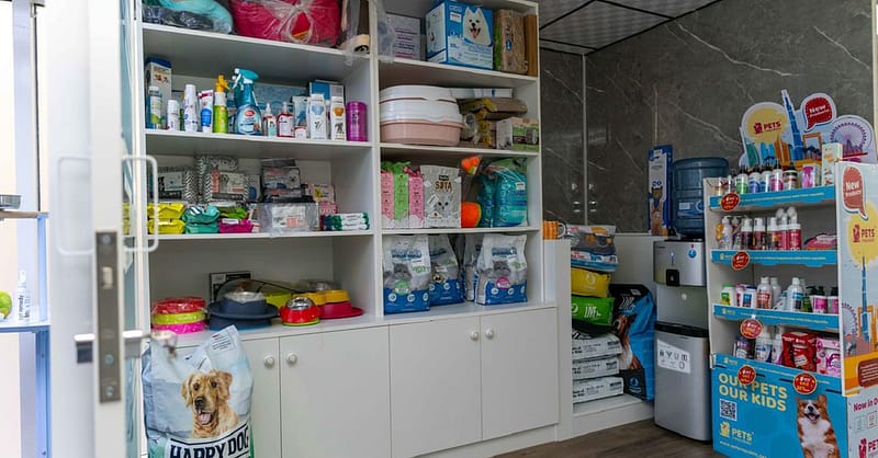 Pet Day Care At Six Pawz Pet Grooming Dubai Shafqa.com Online Shopping, Best Prices in Dubai UAE 10