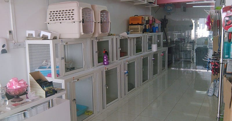 Pet Grooming Package At Sweet Grooming Pet Salon Abu Dhabi Shafqa.com Online Shopping, Best Prices in Dubai UAE 3