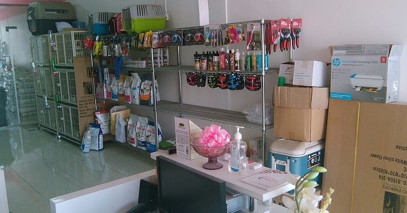 Pet Grooming Package At Sweet Grooming Pet Salon Abu Dhabi Shafqa.com Online Shopping, Best Prices in Dubai UAE 4