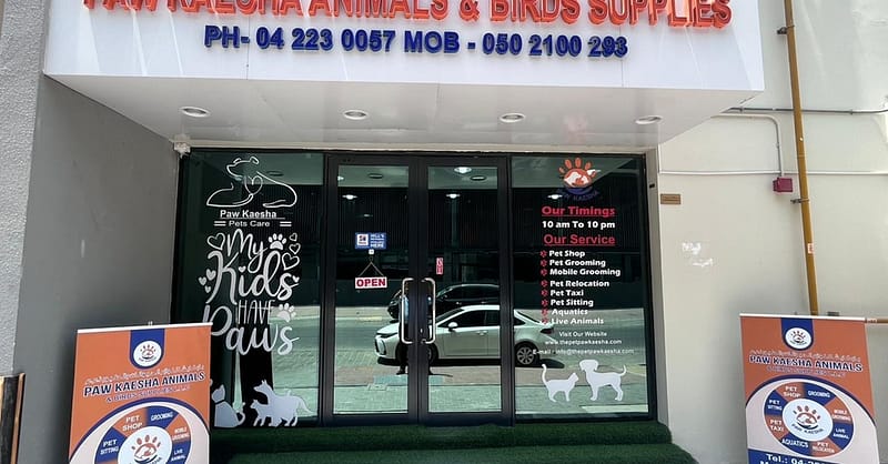 Pet Store Dubai Shafqa.com Online Shopping, Best Prices in Dubai UAE 2