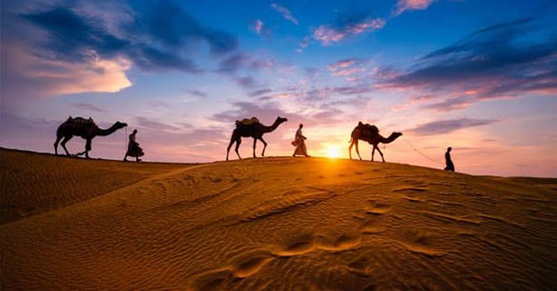 Premium Desert Safari With Vip Transfer, Food, And Live Shows Dubai Shafqa.com Online Shopping, Best Prices in Dubai UAE 2