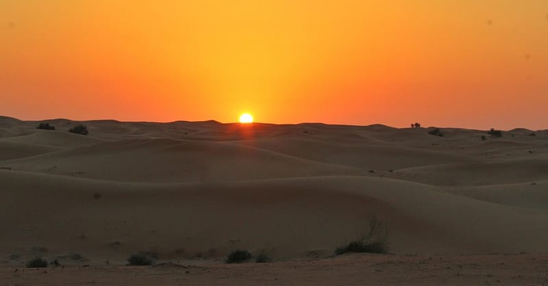 Quad Biking And Dune Bashing Sharjah & N. Emirates Shafqa.com Online Shopping, Best Prices in Dubai UAE 4