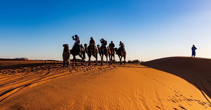 Quad Biking And Dune Bashing Sharjah & N. Emirates Shafqa.com Online Shopping, Best Prices in Dubai UAE 5