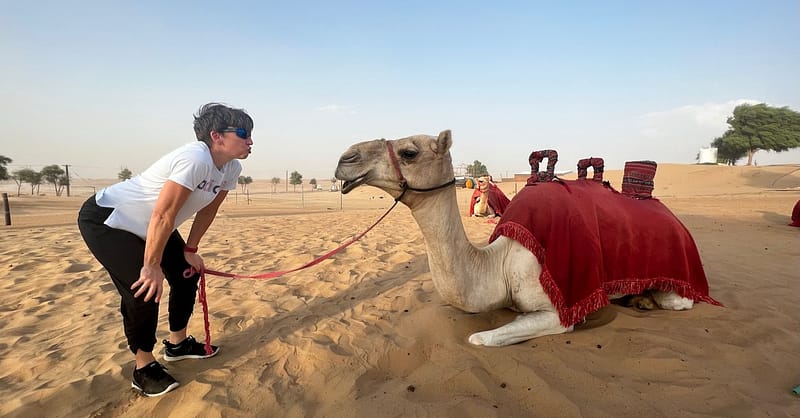 Red Dunes Desert Safari With Live Entertainment Abu Dhabi Shafqa.com Online Shopping, Best Prices in Dubai UAE 4