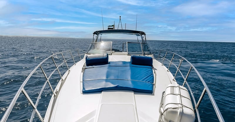 Reel In The Fun: Private Fishing Trip With Bbq On A 35ft Or 40ft Boat! Dubai Shafqa.com Online Shopping, Best Prices in Dubai UAE 5