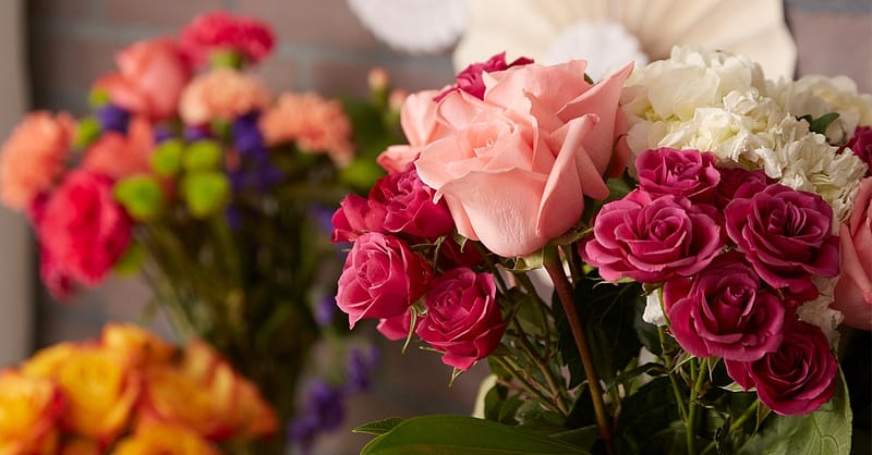 Rose Bouquet Delivery Dubai Shafqa.com Online Shopping, Best Prices in Dubai UAE 2