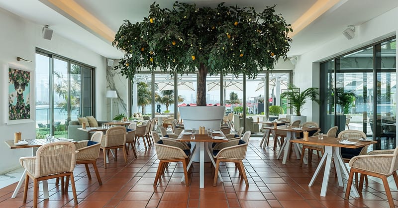 Saturdays In Style: Premium Brunch With Panoramic Views Of The Palm Dubai Shafqa.com Online Shopping, Best Prices in Dubai UAE 4