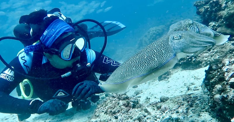 Scuba Diving Courses At Divecampus Dubai Shafqa.com Online Shopping, Best Prices in Dubai UAE 7