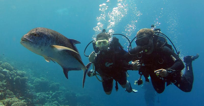Scuba Diving Experience Dubai Shafqa.com Online Shopping, Best Prices in Dubai UAE 2