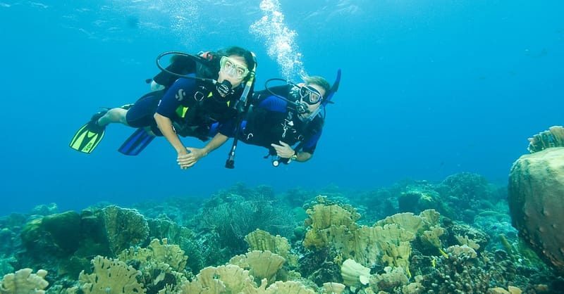 Scuba Diving Experience Dubai Shafqa.com Online Shopping, Best Prices in Dubai UAE 3