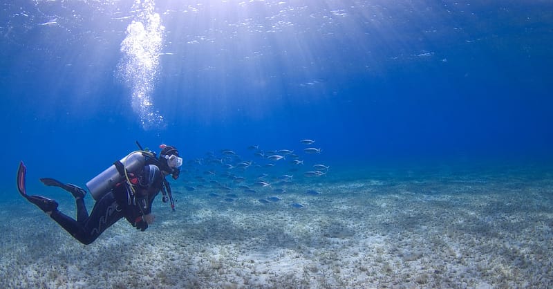 Scuba Diving Experience Dubai Shafqa.com Online Shopping, Best Prices in Dubai UAE 4