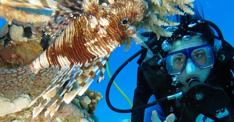 Scuba Diving Experience Dubai Shafqa.com Online Shopping, Best Prices in Dubai UAE 9