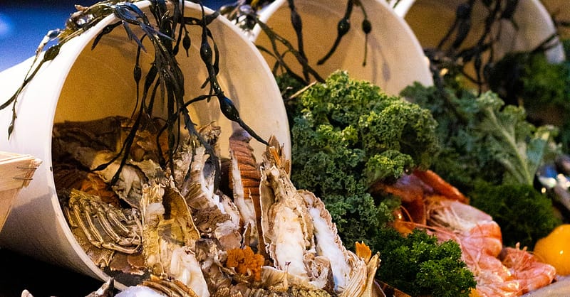 Seafood Night With Choice Of Beverages At 5* Sofitel Jbr Dubai Shafqa.com Online Shopping, Best Prices in Dubai UAE 9