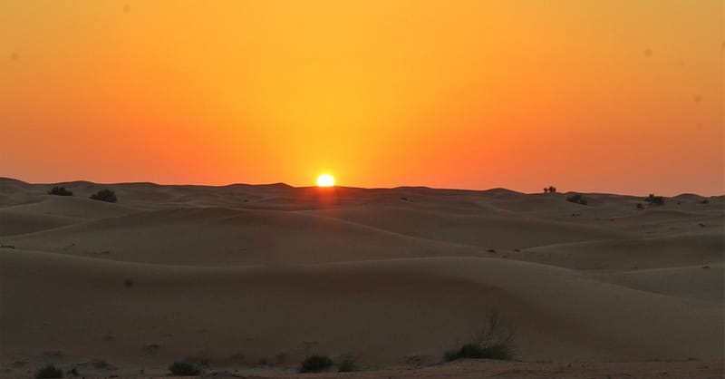 Self-Drive Evening Desert Safari Sharjah & N. Emirates Shafqa.com Online Shopping, Best Prices in Dubai UAE 4
