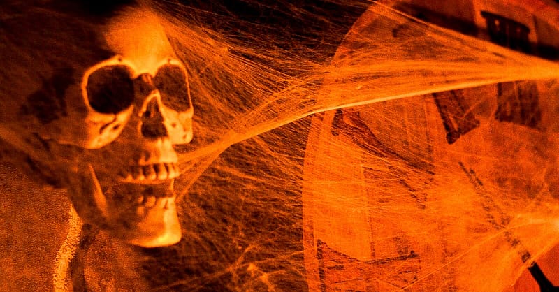 Show Off Your Sleuthing Skills At Abu Dhabis 1st Horror Escape Room! Abu Dhabi Shafqa.com Online Shopping, Best Prices in Dubai UAE 3