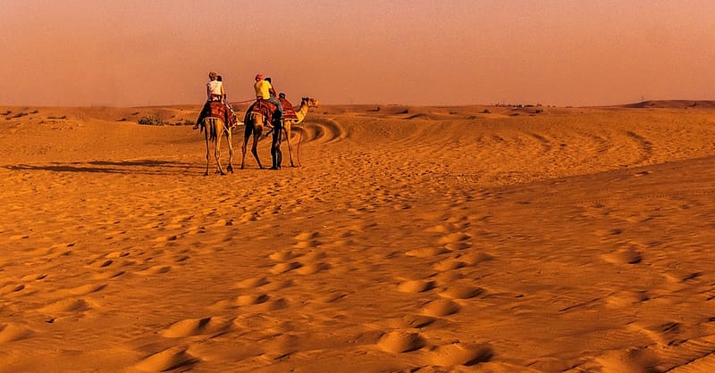 Sunset Desert Safari Dubai Shafqa.com Online Shopping, Best Prices in Dubai UAE 2