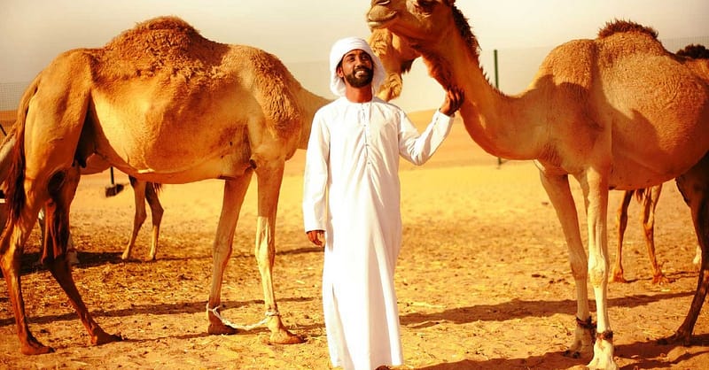 Tour – Bus Abu Dhabi Shafqa.com Online Shopping, Best Prices in Dubai UAE 5