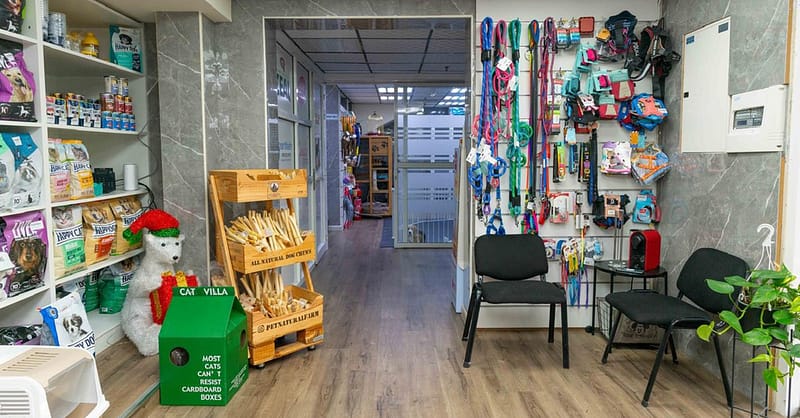 Treat Your Furry Friend To A Spa Day At Six Pawz Pet Grooming! Dubai Shafqa.com Online Shopping, Best Prices in Dubai UAE 13