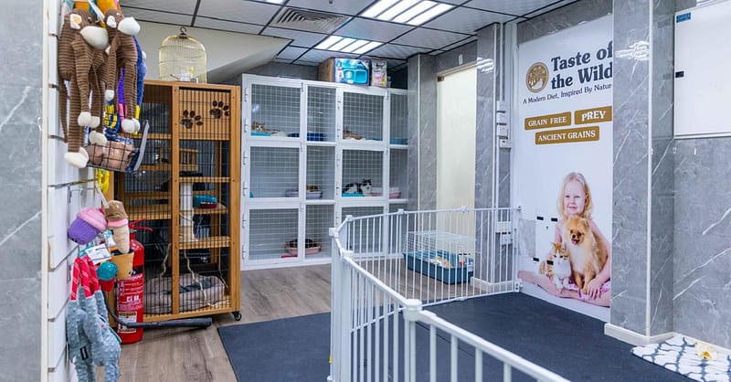 Treat Your Furry Friend To A Spa Day At Six Pawz Pet Grooming! Dubai Shafqa.com Online Shopping, Best Prices in Dubai UAE 10