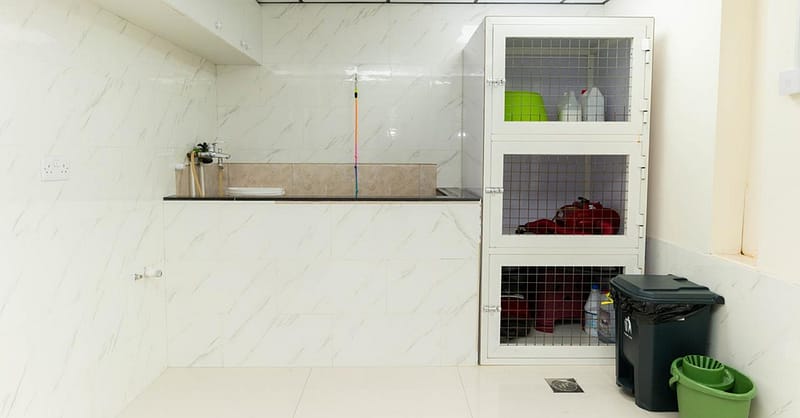 Treat Your Furry Friend To A Spa Day At Six Pawz Pet Grooming! Dubai Shafqa.com Online Shopping, Best Prices in Dubai UAE 9