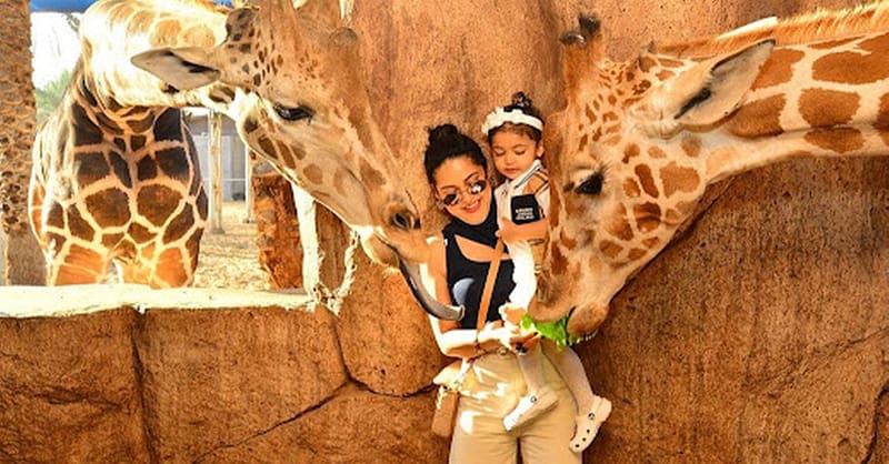 Unleash Adventure: Zoo Entrance + 2 Exciting Activities For 1 Or 2! Abu Dhabi Shafqa.com Online Shopping, Best Prices in Dubai UAE 4