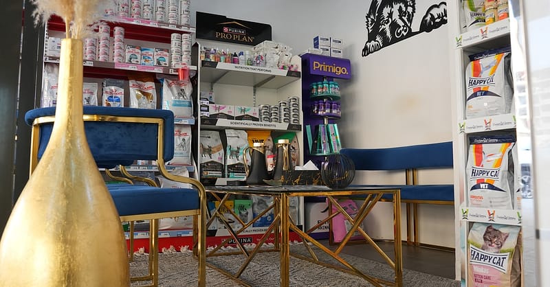 Up To 42% Off On At Cloud Pet Salon And Boarding Sharjah & N. Emirates Shafqa.com Online Shopping, Best Prices in Dubai UAE 3