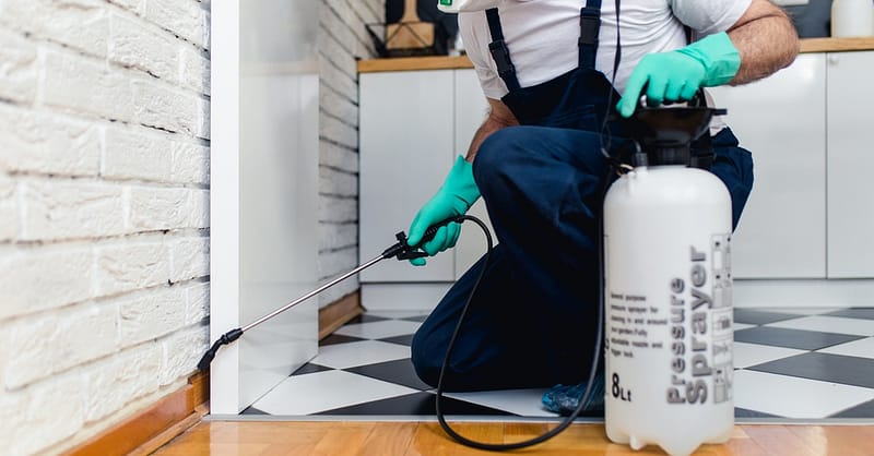 Up To 48% Off On At Bugxen Pest Control And Cleaning Services Llc Dubai Shafqa.com Online Shopping, Best Prices in Dubai UAE 2