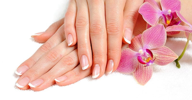 Up To 50% Off On At New Look Beauty Salon Dubai Shafqa.com Online Shopping, Best Prices in Dubai UAE 2