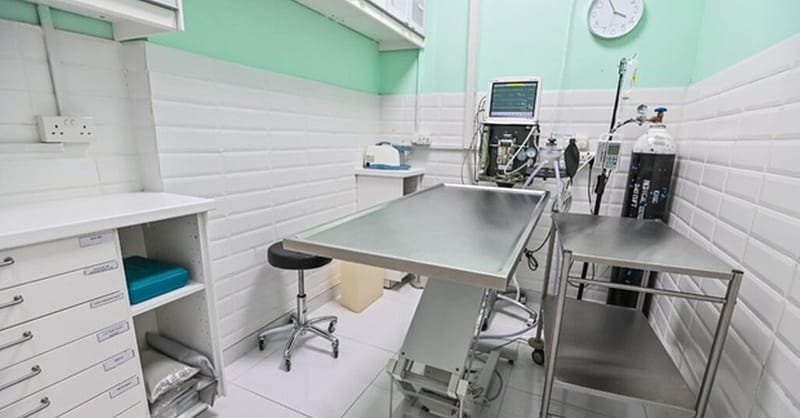 Veterinary Examination At Pet Connection Veterinary Clinic Dubai Shafqa.com Online Shopping, Best Prices in Dubai UAE 14