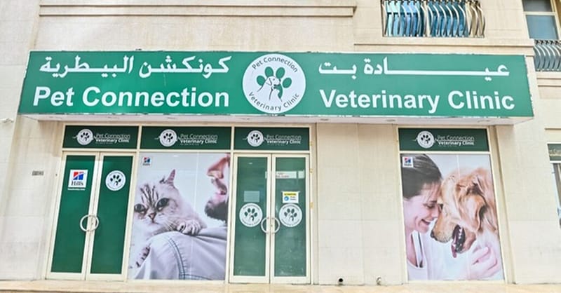 Veterinary Examination At Pet Connection Veterinary Clinic Dubai Shafqa.com Online Shopping, Best Prices in Dubai UAE 18