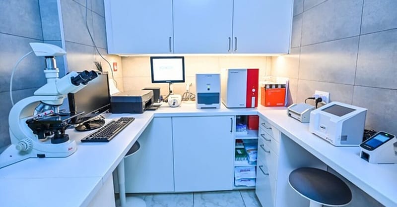 Veterinary Examination At Pet Connection Veterinary Clinic Dubai Shafqa.com Online Shopping, Best Prices in Dubai UAE 10