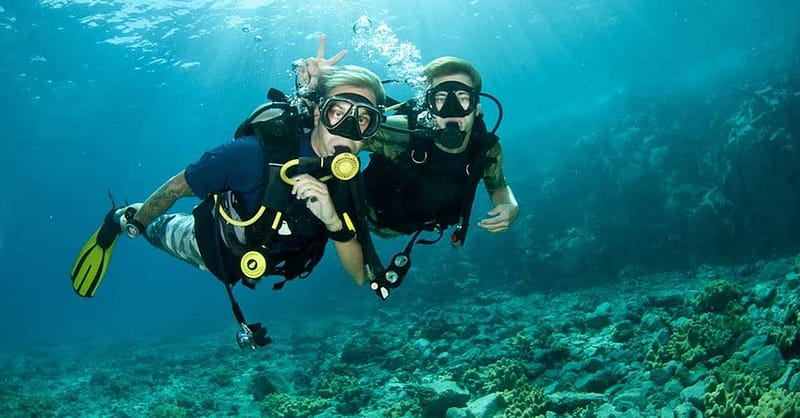 Vip Scuba Diving Tour Dubai Shafqa.com Online Shopping, Best Prices in Dubai UAE 5