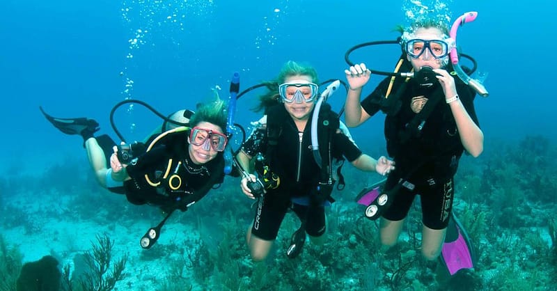 Vip Scuba Diving Tour Dubai Shafqa.com Online Shopping, Best Prices in Dubai UAE 2